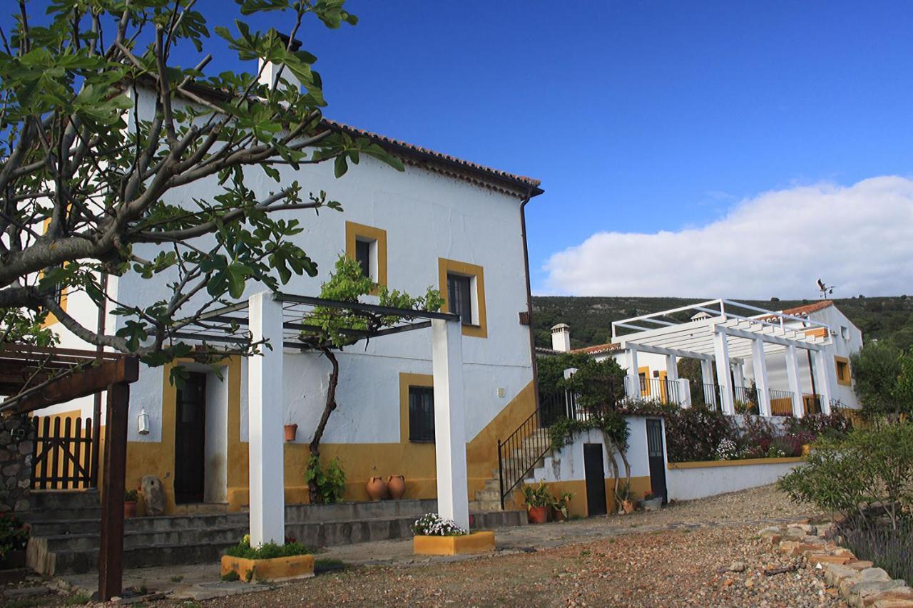 Palacio Viejo De Las Corchuelas Торрехон-ель-Рубіо Екстер'єр фото